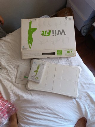 Nintendo Wii Fit