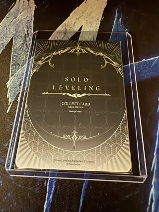 SL3E-091 - Kaisel Solo Leveling Mapniverse