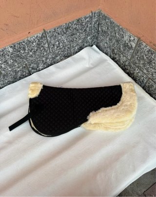 Agnellino per cavalli