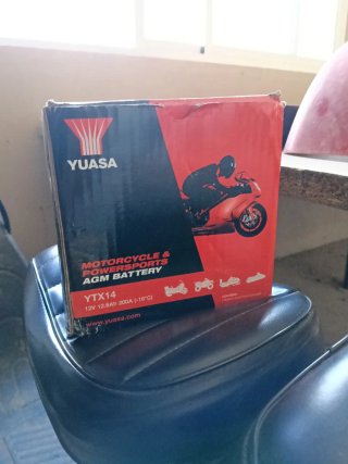 Batería Yuasa YTX14 AGM nueva
