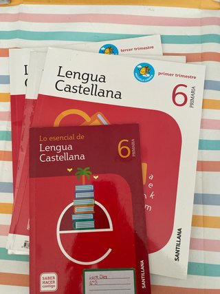 Lengua castellana 6 Primaria