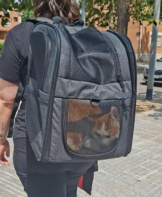 Mochila Transportín Mascotas hasta 12kg