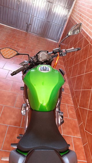 Kawasaki Z900 Naked Verde/Gris