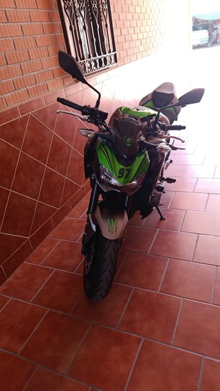 Kawasaki Z900 Naked Verde/Gris