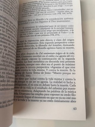 San Manuel Bueno, Martir