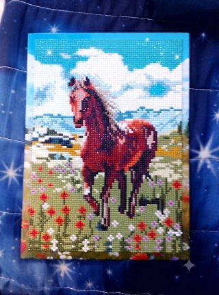 Quadretto Diamond Painting Cavallo Fatto A Mano