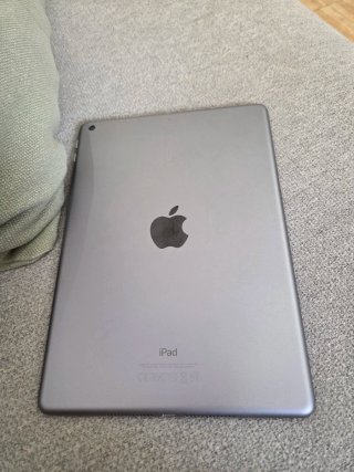 Apple iPad Gris Plata