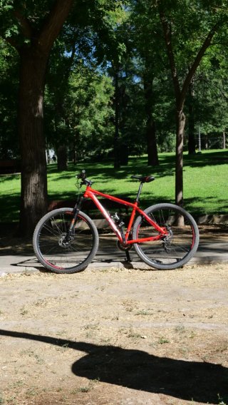Bicicleta MTB, B-Pro, talla M/L, 29", frenos disco