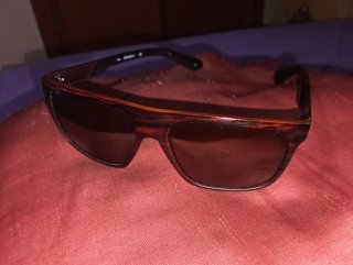 Gafas de sol Dragon Tortoise