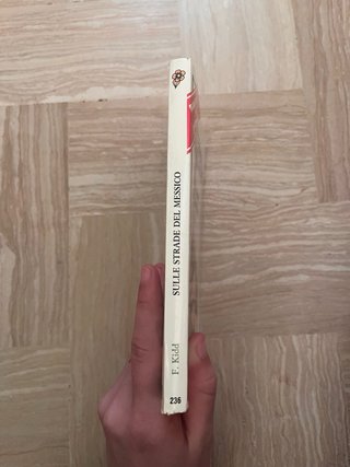 Libro Harmony Sulle Strade del Messico Flora Kidd