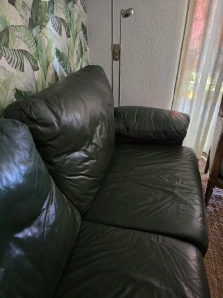 Sofá de cuero verde diseño