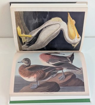 Diario del Río Misisipi