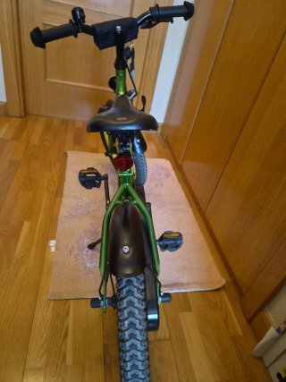 Bicicleta infantil 16 Scool verde