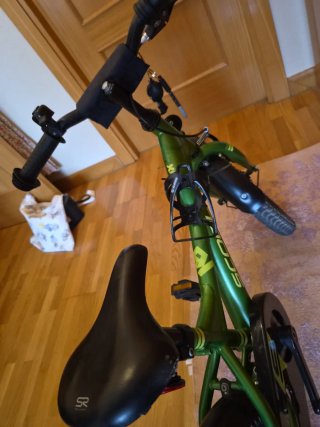 Bicicleta infantil 16 Scool verde
