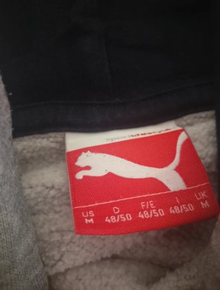 Sudadera Puma Gris con Capucha
