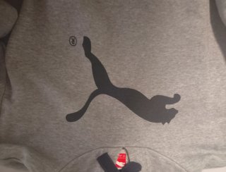 Sudadera Puma Gris con Capucha