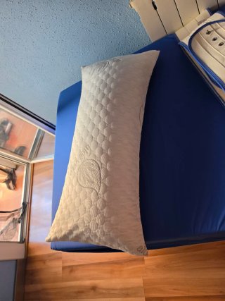Cama articulada eléctrica con mando