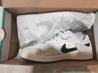 Nike Alleyoop Beige/Blanco