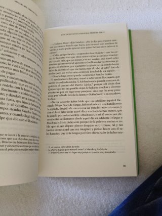 Don Quijote de la Mancha Antología esencial