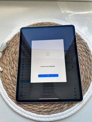 iPad Pro 12.9 4ª Gen 512GB Wifi Plata