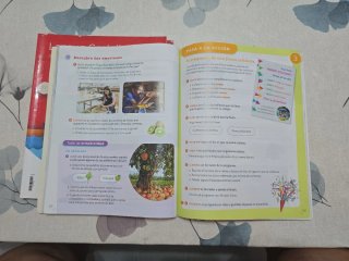 Lengua castellana, 3 Primaria