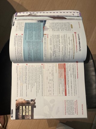 Lengua castellana y literatura Geniox