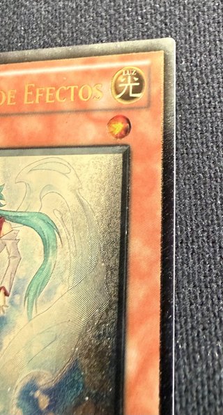 Ocultador de Efectos •YuGiOh!• Effect Veiler
