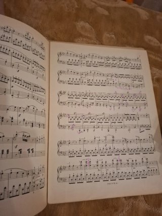 Partituras Beethoven Sonatas Piano L. Diémer