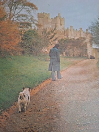 Vinilo Chris de Burgh-Far Beyond These Castle Wall