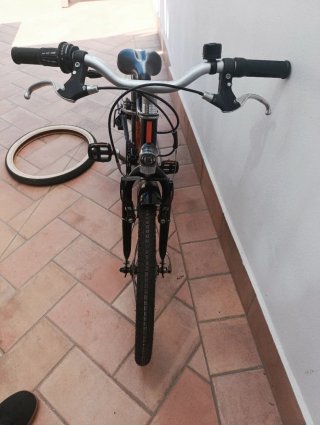 Bicicleta Infantil Riverside 20