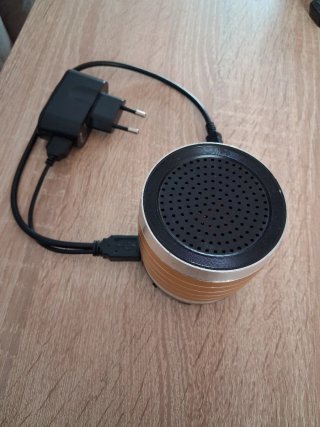 Altavoz Portátil Bluetooth Dorado y Plateado