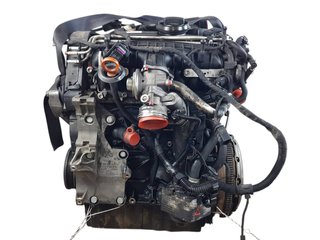 MOTOR COMPLETO VOLKSWAGEN VOLKSWAGEN GOLF V VARIANT (1K5) 2007-2010