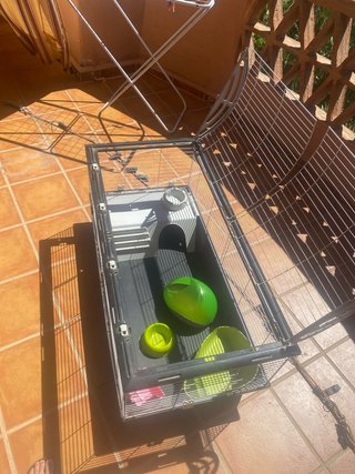 Jaula grande con accesorios de regalo