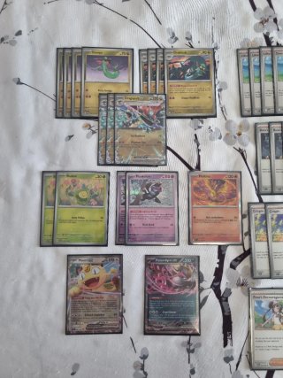 Mazo pokemon tcg competitivo Dragapult ex