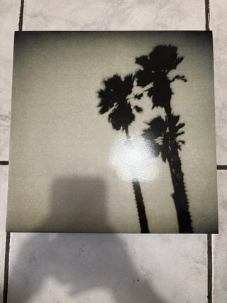 Vinile The Twilight Singers
