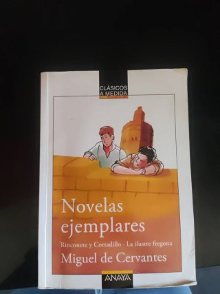 Novelas ejemplares