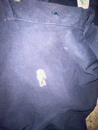 Polo Lacoste Nero