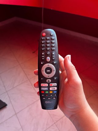 Televisor 55 Negro !NO SE SI FUNCIONA!