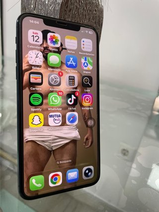 iPhone 11 Pro Max Verde/Gris Espacial