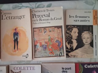 Lote 10 libros en francés. Camus, Colette, Molière