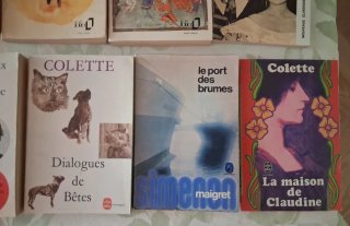 Lote 10 libros en francés. Camus, Colette, Molière