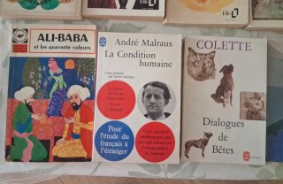 Lote 10 libros en francés. Camus, Colette, Molière