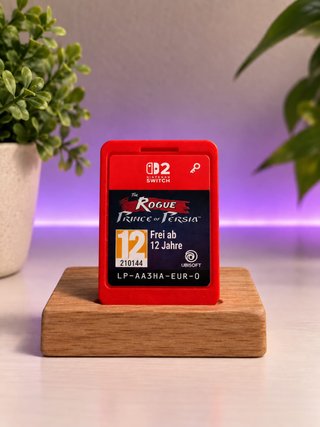 Juego The Rogue Prince of Persia Nintendo Switch 2