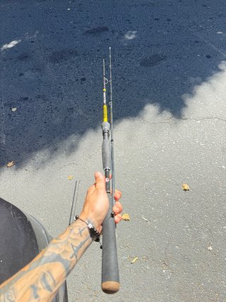 Caña de pesca Yokozuna 2,40 m – 15/35 g