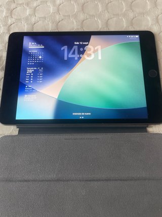 iPad Mini 5 256GB Gris Oscuro Wifi + 4G