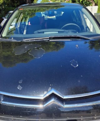 Citroen C4 2010
