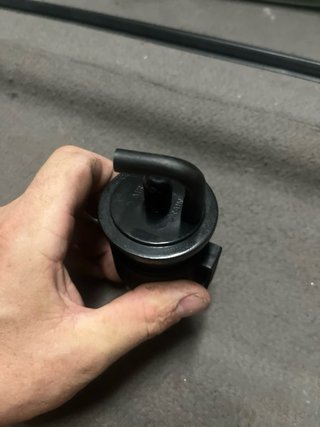 Canister (evap.)Rieju MRT50