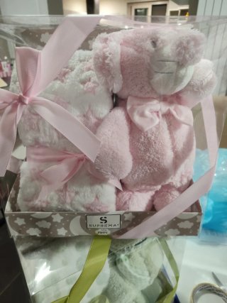 Set coperta e peluche vari soggetti
