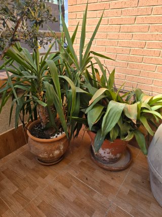 Maceta Plástico Grande 60x45 cm