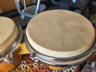 Coppia Bongo legno